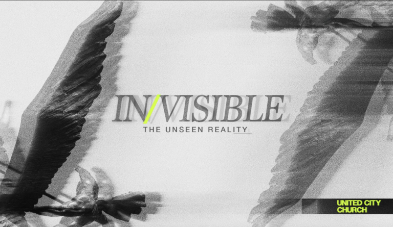 IN/VISIBLE Series Image